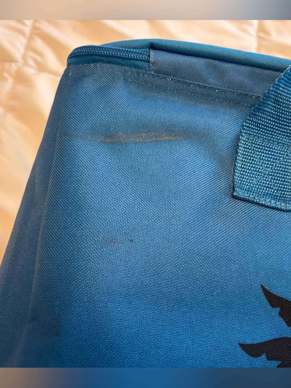 Trader Joe's Blue Canvas Market Tote - Picture 4 of 5